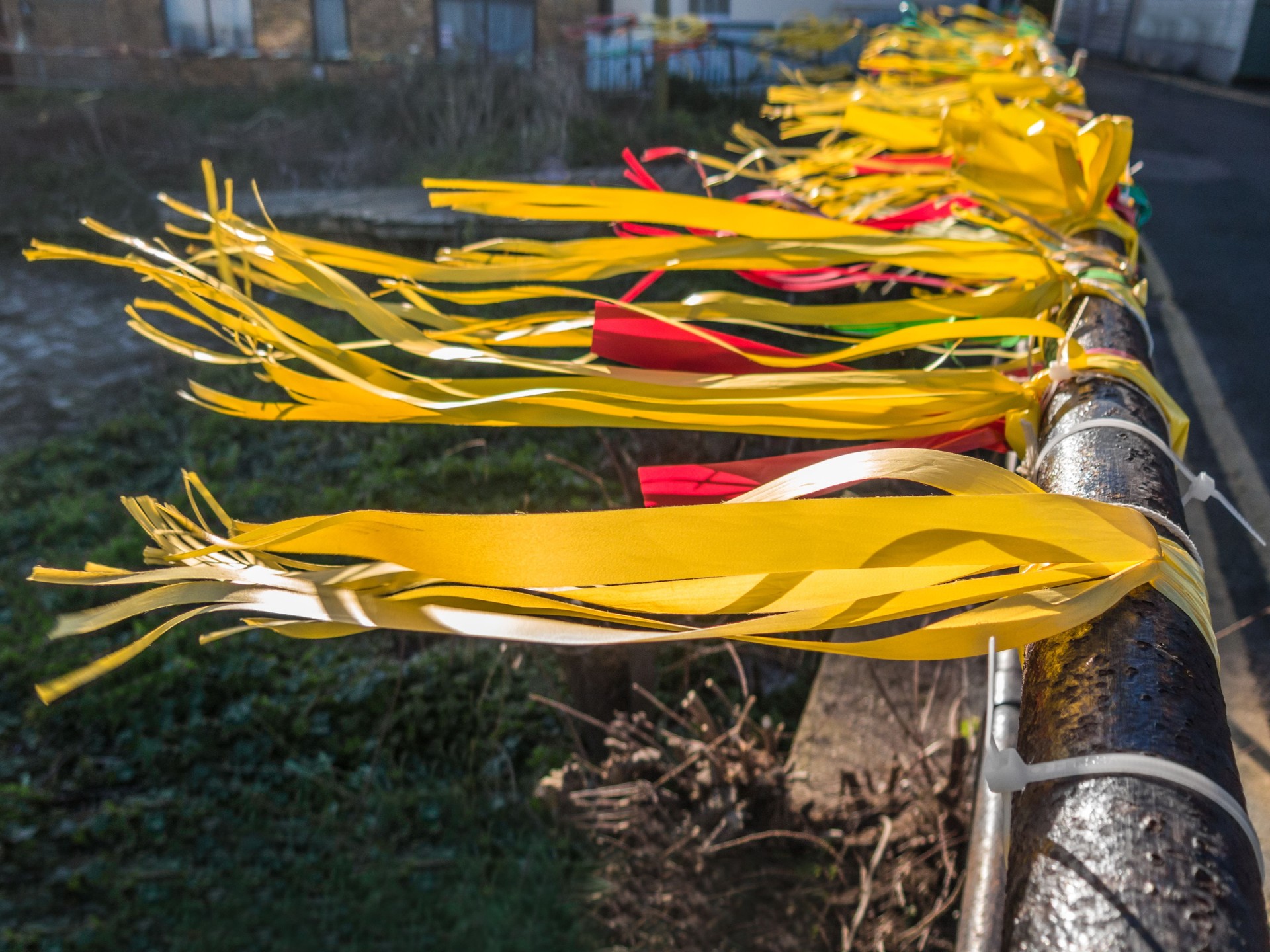 Yellow protest ribbons, Whitstable Kent, UK